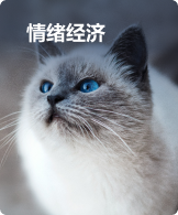 情绪经济